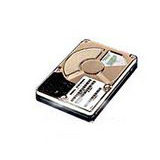 Internal 40GB Hard Drive